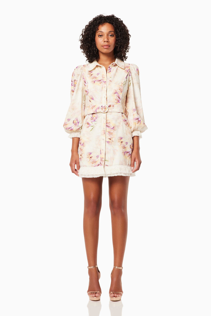 Zimmermann radiate store applique shirt dress