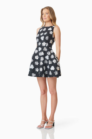 Elliatt Jessamine Fit & Flare Dress - Black/White