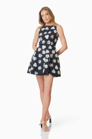 Elliatt Jessamine Fit & Flare Dress - Black/White