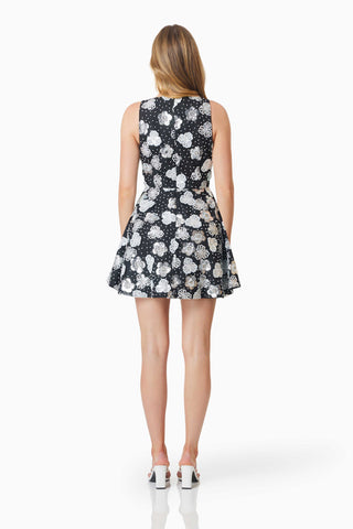 Elliatt Jessamine Fit & Flare Dress - Black/White