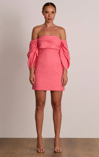 Pasduchas Platinum Party Dress - Punch Pink