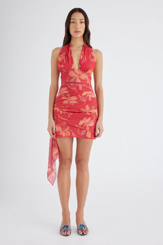 Benni Penelope Halter Mini Dress - Hibiscus Floral